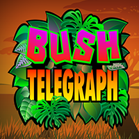 BUSH TELEGRAPH
