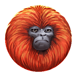 Icon 5 7 Monkeys