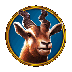 Icon 5 Hot Safari