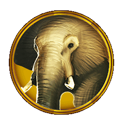Icon 2 Hot Safari