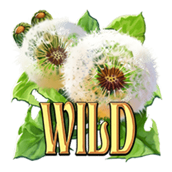 Wild Symbol of Wings of Riches Slot