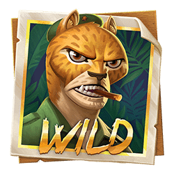 Wild Symbol of Iron Bank Slot