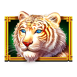 Icon 1 Dragon Tiger