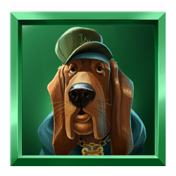 Icon 4 Top Dawg$