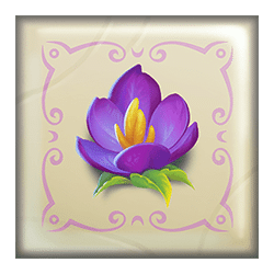 Icon 5 Plunderland