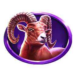 Icon 5 Black Bull