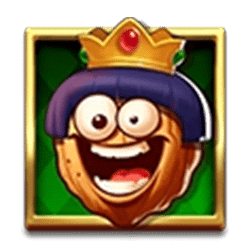 Icon 3 Royal Nuts